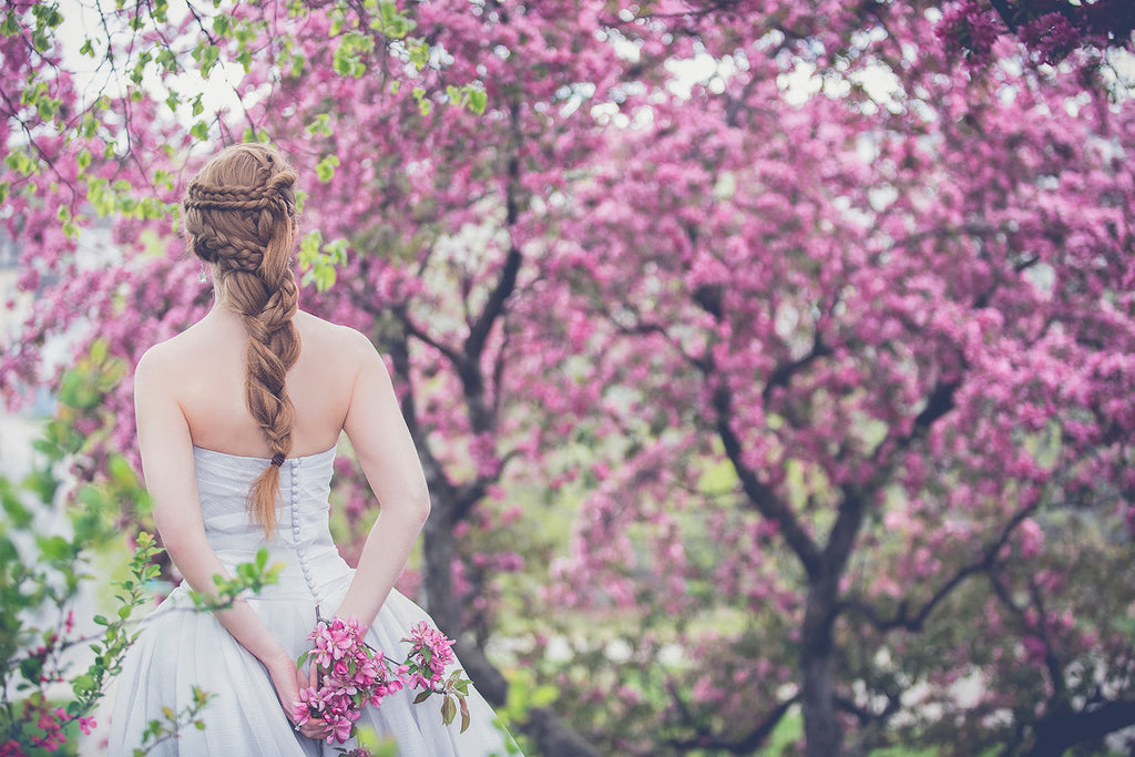 The splendor of lavender